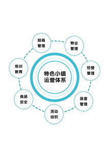 專(zhuān)訪光合文化創(chuàng)意集團(tuán)董事長(zhǎng)趙興朋 特色小鎮(zhèn)是個(gè)有機(jī)生命體，數(shù)字文化創(chuàng)意內(nèi)容的應(yīng)用與服務(wù)