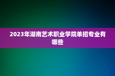 2023年湖南藝術(shù)職業(yè)學(xué)院單招專業(yè)解析 聚焦數(shù)字廣告制作